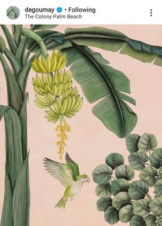 a painting of bananas and other plants on a light pink background, with a bird in the foreground