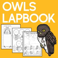 owls lapbook with an owl sitting on top of it and the words owls lapbook below