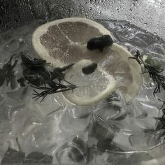 lemons and herbs in water with ice