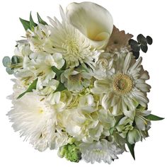 a bouquet of white flowers on a white background