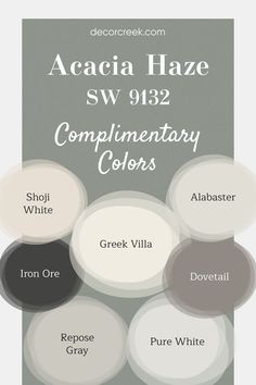 This pin showcases complementary colors for Acacia Haze SW 9132 by Sherwin Williams, a calming green-gray. It pairs beautifully with soft neutrals like Shoji White and Greek Villa to create a warm, inviting space. Deeper tones like Iron Ore and Dovetail add contrast, while Pure White, Alabaster, and Repose Gray bring brightness and cohesion to the overall look. Acacia Haze Sherwin Williams, Acacia Haze, Sherwin Williams Alabaster White, Greek Villa Sherwin Williams, Greek Villa, Repose Gray Sherwin Williams, Blue Green Paints, Shoji White, Greek Villas