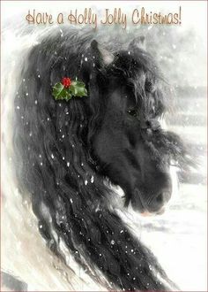 a black and white horse with a holly decoration on it's head in the snow