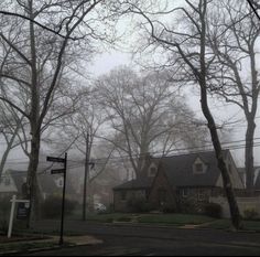 a street with houses and trees in the fog