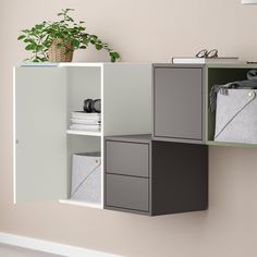 a wall mounted cabinet with three compartments and a plant in the corner next to it