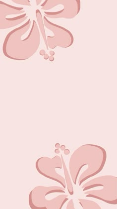 a pink flower on a light pink background