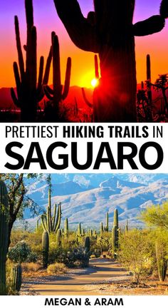 the cover of prettiest hiking trails in saguaro