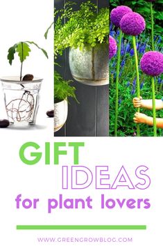 the words gift ideas for plant lovers are in front of pictures of flowers and plants