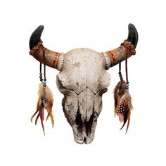 an animal skull with feathers hanging from it's horns