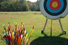 there is a large archery target in the grass with many arrows sticking out of it