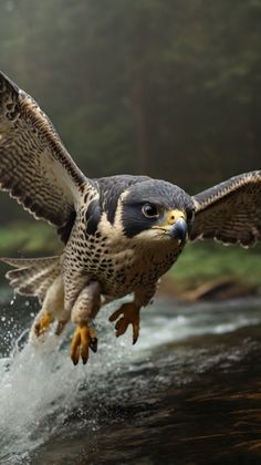 a bird flying over a body of water with it's wings spread wide open