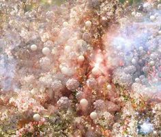 an abstract photo of flowers and balls in the air