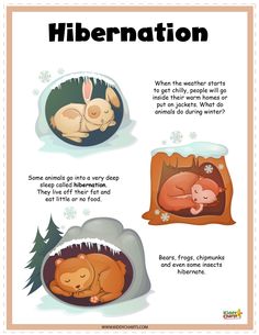 a poster with instructions on how to sleep in the snow