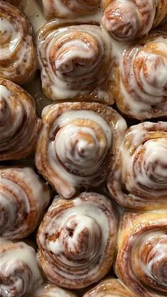 there are many different types of cinnamon rolls