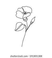 single flower line drawing on white background with space for text or image, minimalist style