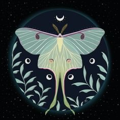 a large white moth sitting on top of a blue circle with leaves and moon in the background