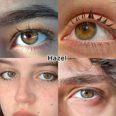 Hazel Gold Eyes, Unique Eye Color, Eye Types, Different Eye Colors, Hazel Green Eyes, Eye Color Chart