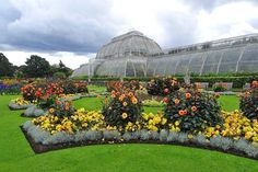 a garden filled with lots of flowers next to a lush green field under a cloudy sky