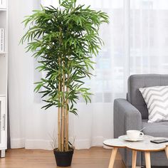 a living room filled with furniture and a potted plant