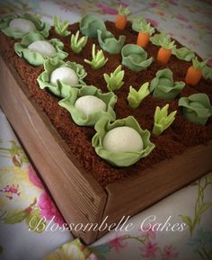 a cake with carrots and lettuce in the shape of a vegetable garden