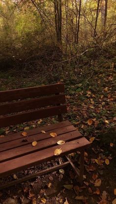 a wooden bench sitting in the middle of a forest with leaves on it's back