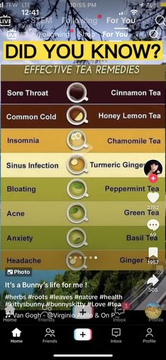 Sinus Tea, Honey Lemon Tea, Diy Natural Detergent, Turmeric Ginger Tea, Basil Tea, Sinus Infection Remedies, Tea Remedies, Peppermint Tea