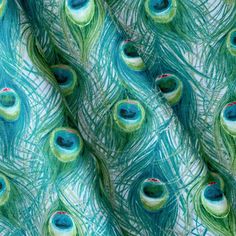 an image of peacock feathers with blue and green colors