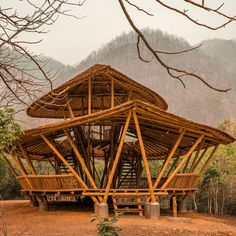 a wooden structure in the middle of a forest