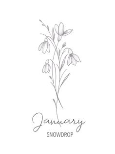 the january snowdrop logo is shown in black and white, with flowers on it