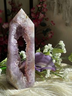 Amethyst Dragon, Crystal Vibes, Healing Magic, Plume Agate