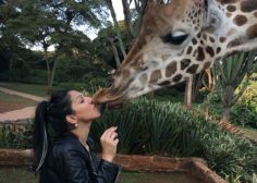 a woman is feeding a giraffe at the zoo