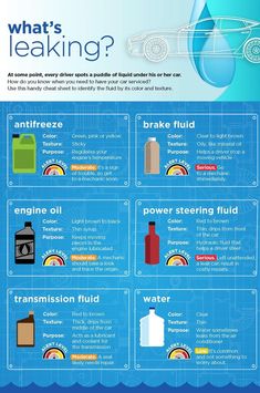 an image of what's leaking in the water? info sheet with instructions on how to use it