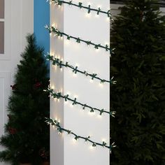 christmas lights are hanging on the side of a building next to a potted tree