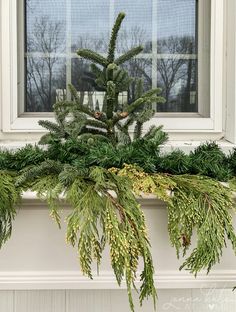 a window sill decorated with evergreen branches and pine cones