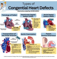 the types of congrenial heart defects and how to treat them with care