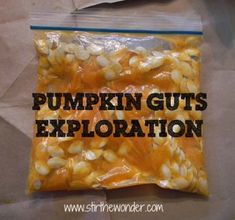 a bag of pumpkin guts with the words pumpkin guts explanation in black lettering on it