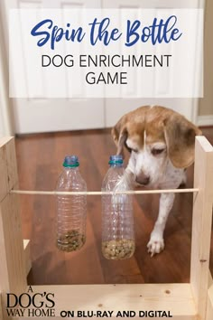 a dog is looking at two empty water bottles on the floor with text overlay saying spin the bottle dog enrichment game