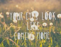 a field with dandelions and the words your eyes look like coming home