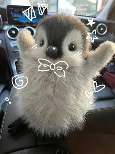 a small stuffed animal sitting on top of a car dashboard