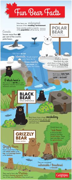 an info poster showing different types of animals