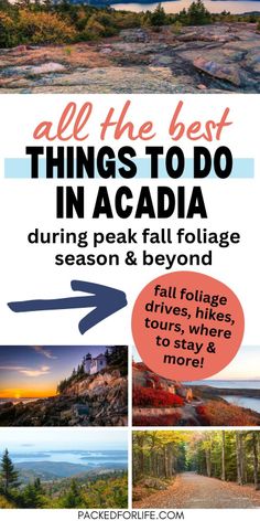 the best things to do in acadia during peak fall foliage season and beyond