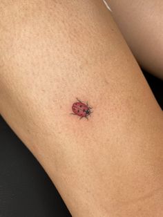 a ladybug tattoo on the back of a woman's thigh is shown