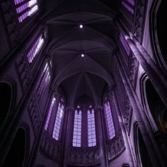 the interior of a cathedral with purple light coming in from the windows and ceiling lights