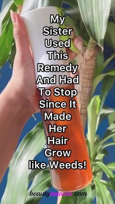 Green Tea For Hair Growth Diy, Hair And Nail Growth Tips, Hiw To Grow Your Hair Fast In A Week Diy, Diy Hair Spray For Growth, How To Make Long Hair, Easy Diy Hair Color Ideas, Geritol For Hair Growth, Best Hair Oils For Growth, Mexican Remedies