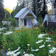 a small house in the middle of a garden filled with wildflowers and other flowers