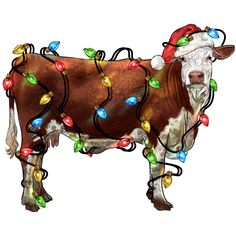 a cow with christmas lights on it's back