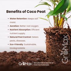 the benefits of coco leaf for your garden