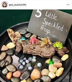 a black plate with rocks and small animals on it that says 5 little speckled frogs