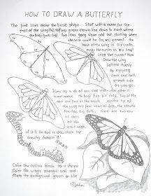 the instructions for how to draw butterflies