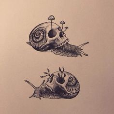 two drawings of snails with flowers on their heads