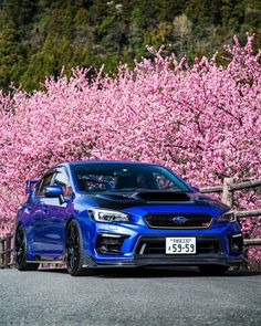 a blue subarunt is parked in front of some pink trees with flowers on it